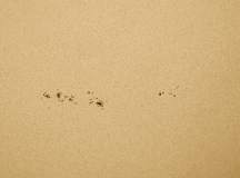 20150507-092259-sonne.jpg