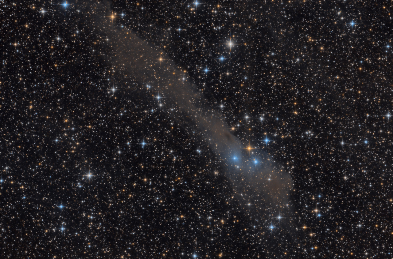 20200919-LBN534.jpg