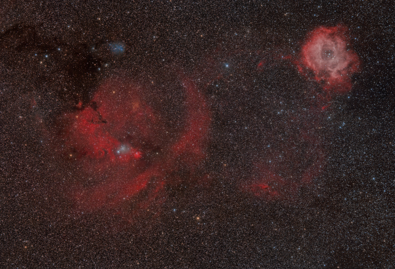 20180213-Cone_Rosette-v3-PI.jpg