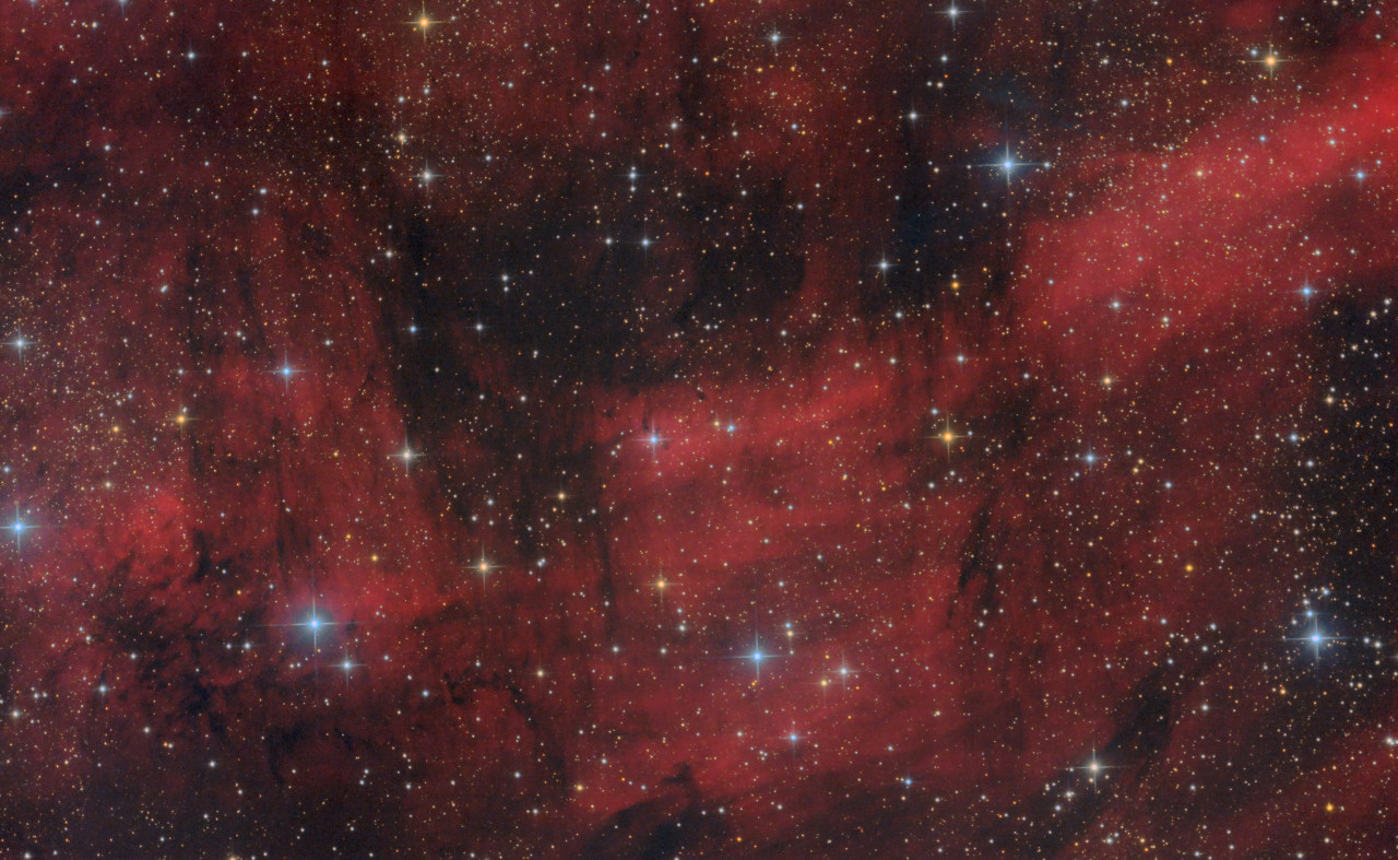 20190825-IC5068.jpg