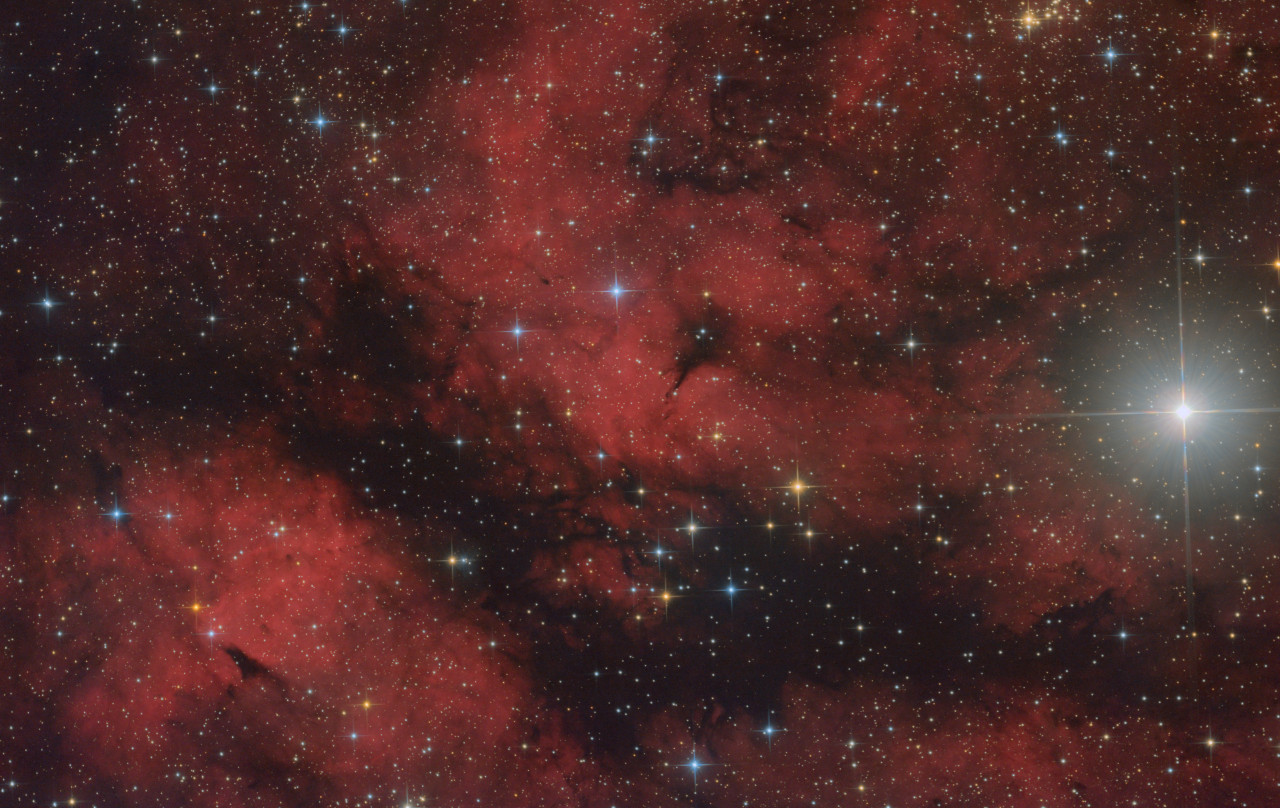 20190830-IC1318B.jpg