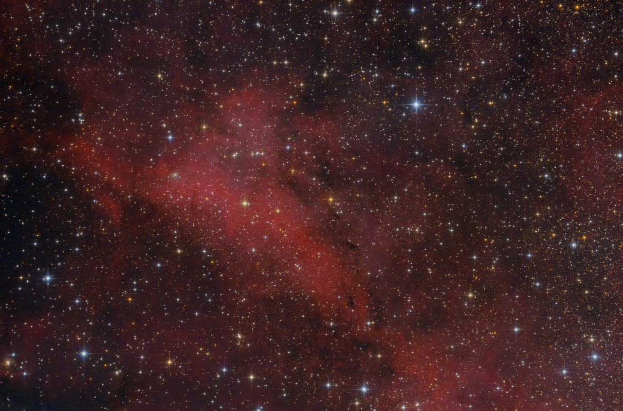 20200718-IC1318.jpg