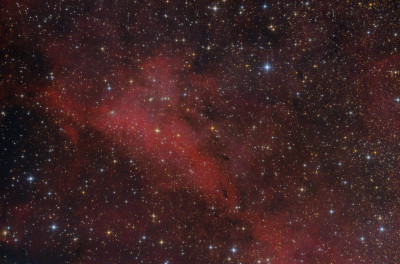 20200718-IC1318.jpg