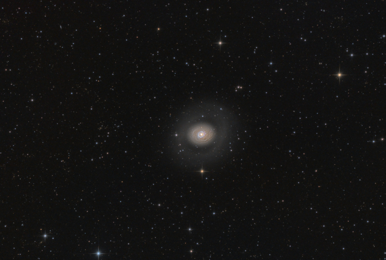 20210404-M91.jpg