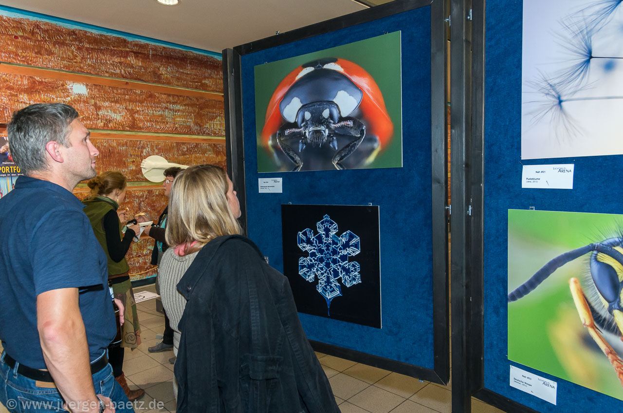 20151107-212414.jpg