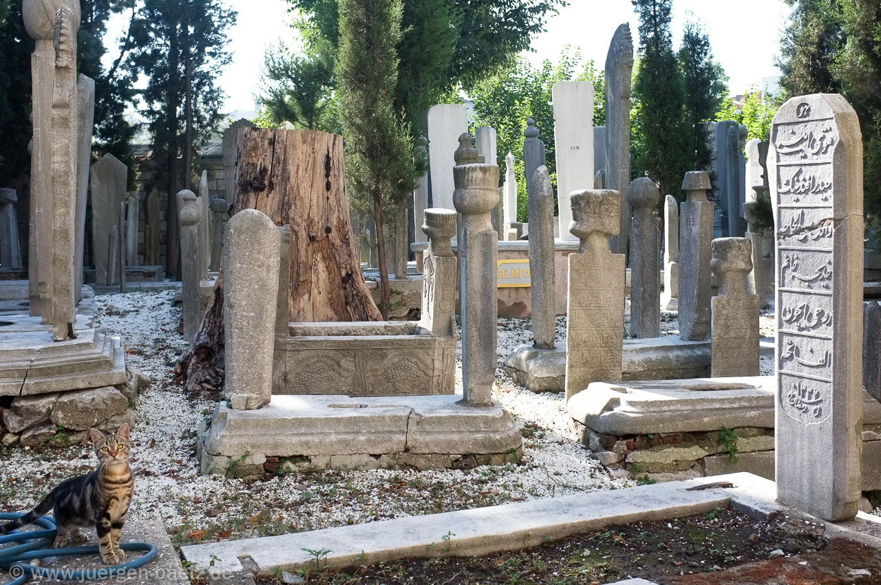 DSCF0673.jpg