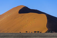 Sanddüne in der Namib-Wüste 20140424-073249.jpg