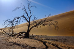 im Sossousvlei 20140424-084017.jpg