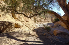 im Sesriem-Canyon 20140424-144641.jpg