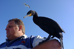 20140427-091139.jpg 20140427-091139.jpg