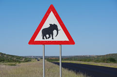 Elefants crossing! 20140428-162501.jpg