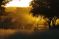 Abendstimmung 20140430-172443.jpg