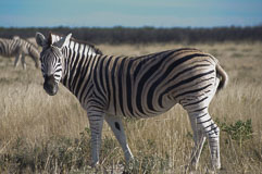 20140501-151822.jpg 20140501-151822.jpg