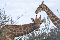 20140501-161258.jpg 20140501-161258.jpg