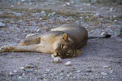 20140503-173321-7.jpg 20140503-173321-7.jpg