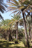20130216-DSCF2200.jpg