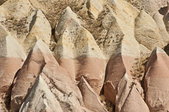 IMGP1876.jpg IMGP1876.jpg