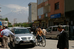 _IGP0044.jpg _IGP0044.jpg