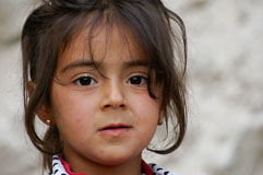 _IGP0215.jpg _IGP0215.jpg