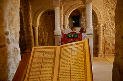 _IGP0777.jpg _IGP0777.jpg