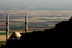 _IGP0917.jpg _IGP0917.jpg