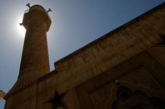 _IGP1028.jpg _IGP1028.jpg