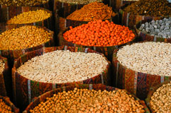 _IGP1092.jpg _IGP1092.jpg