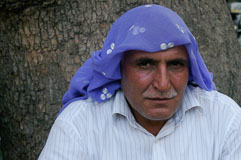 _IGP1135.jpg _IGP1135.jpg