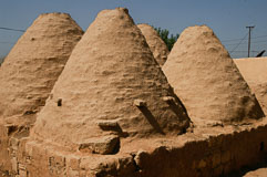 _IGP1292.jpg _IGP1292.jpg