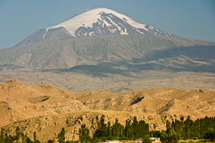 _IGP9805.jpg _IGP9805.jpg