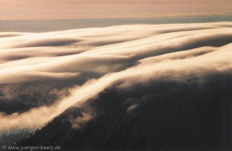 nebel.jpg