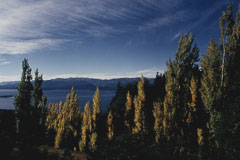 nahuel_huapi.jpg