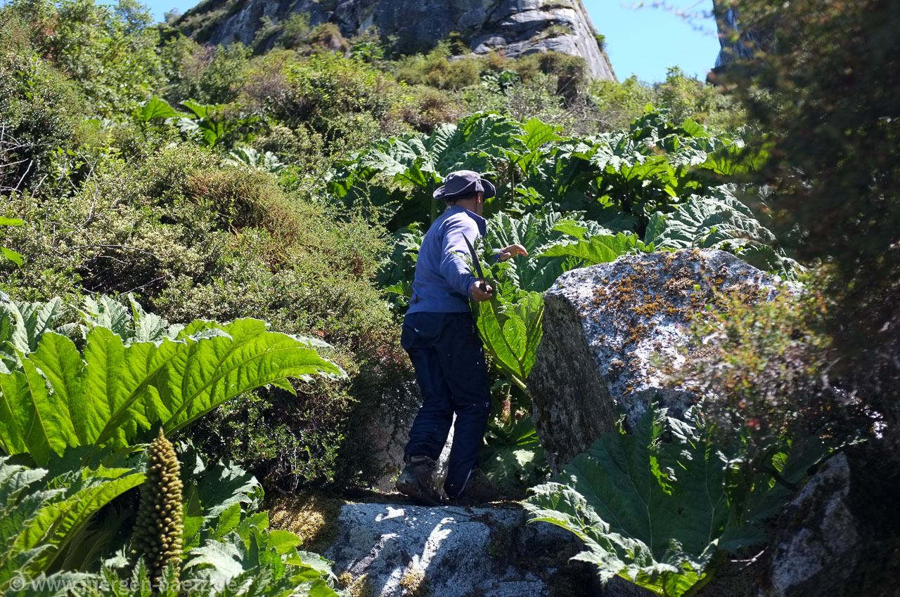 patagonien-0869.jpg