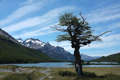 patagonien-1174.jpg patagonien-1174.jpg